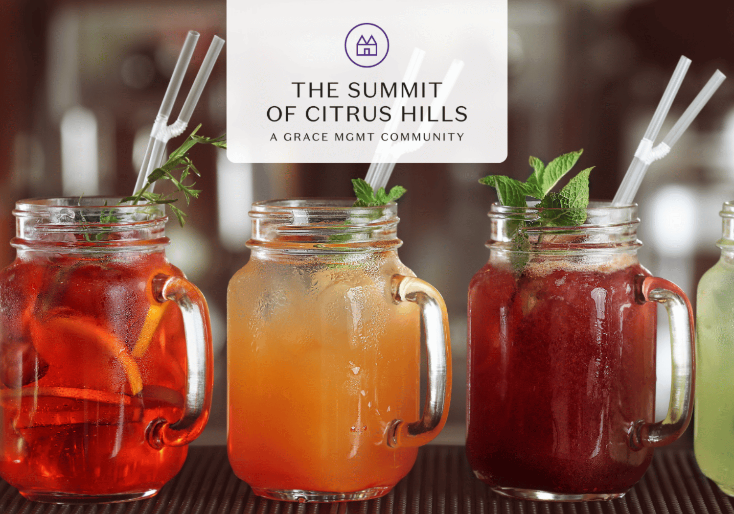 Three colorful citrus drinks in mason jars with mint garnish and striped straws, overlaid with a logo reading The Summit of Citrus Hills.
